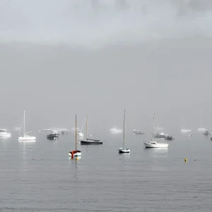 Le réveil du Kelenn